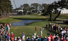 Image result for Central London Golf Club