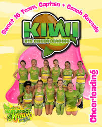 Image result for Hartlepool Hawks Cheerleading Academy