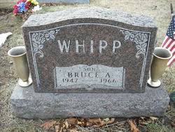 Bruce Whipp (1947 - 1966) - Find A Grave Memorial - 11753199_123517686926
