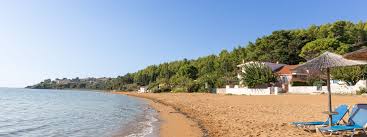 Attēlu rezultāti vaicājumam “Leporida”