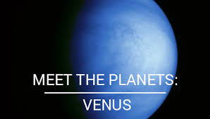 Image result for venus