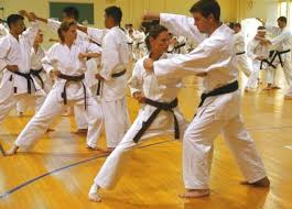 Image result for Burnham Karate Club