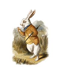 Image result for alice in wonderland rabbit