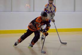 Image result for Team-Tigers Roller Hockey Club
