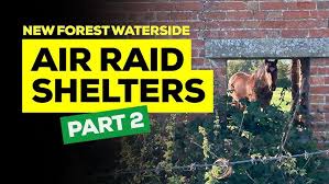 Image result for New Forest/Waterside