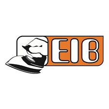 Image result for extreme ironing