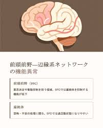 Image result for 衝動制御障害BPD