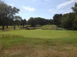 Image result for Brokenhurst Manor Golf Club