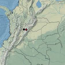 Attēlu rezultāti vaicājumam “Arcyria helvetica young”