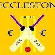 Image result for Eccleston Cricket Club Ltd