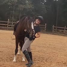 Image result for Palmers Riding Stables