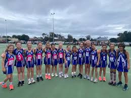 Image result for Aylesbury Jnl Netball Club