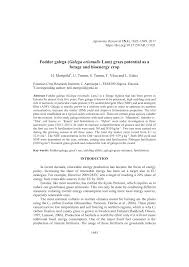 Attēlu rezultāti vaicājumam “Galega orientalis bud”