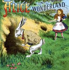 Image result for alice in wonderland rabbit