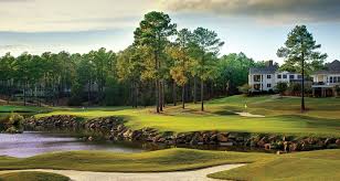 Image result for Southfield Golf Club