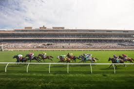 Image result for The Horse Racing Club