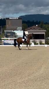 Image result for Interfreestyle Sport Karate