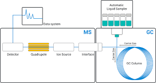 Image result for  g   c O ~