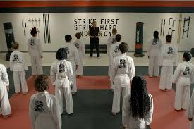 Image result for Cobra Karate Club