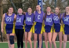 Image result for Wyvern Ladies Netball Club
