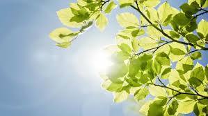 Image result for Inkberrow Bowling Club