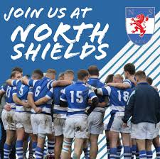 Image result for North Shields Rfc