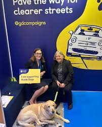 Image result for Castle Point Bowls Club