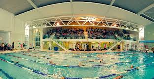 Image result for Stokesley Amateur Swimming club