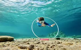 Image result for Blue Water Freediving School