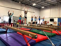 Image result for Avondale Gymnastics Club