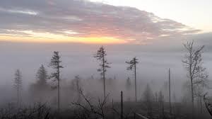 Image result for wetter