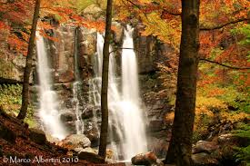 Image result for cascate del dardagna