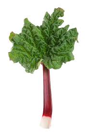 Attēlu rezultāti vaicājumam “Rheum rhabarbarum fruit”