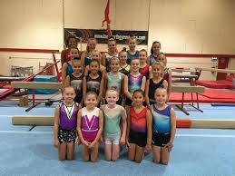 Image result for Tamworth Olympic Gymnastics Club