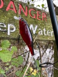 Image result for Reigate & District Angling Association