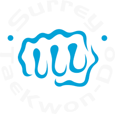 Image result for Surrey Taekwondo