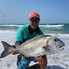 Image result for Petrus rupestris