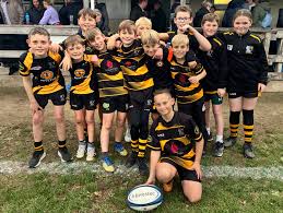 Image result for Yatton R F C