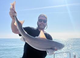 Image result for Paignton Sea Anglers Association