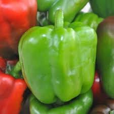 Afbeeldingsresultaat voor california wonder 300 sweet pepper