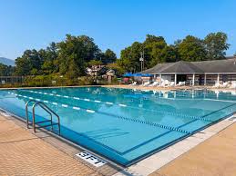 Image result for Bridge Of Don Amateur Swimming Club