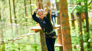 Image result for Go Ape! Alice Holt