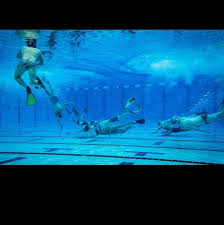 Image result for Underwater Hockey Ireland