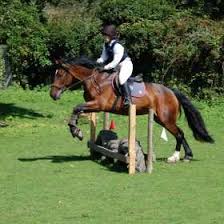 Image result for Cranleigh School Stables