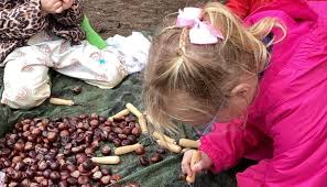 Image result for Peasedown-St-John Cc