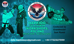 Image result for choi sul hapkido academy hapkido scotland