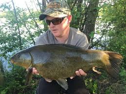 Image result for Reigate & District Angling Association