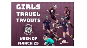 Image result for Hamilton Panthers Association Football Club