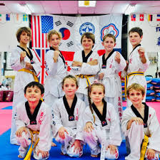 Image result for Torbay Taekwondo Schools