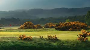 Image result for Driffield Golf Club